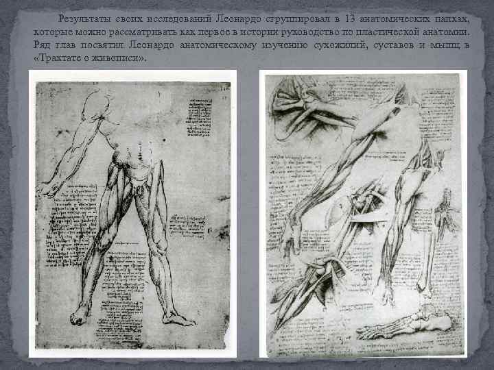 Результаты своих исследований Леонардо сгруппировал в 13 анатомических папках, которые можно рассматривать как первое