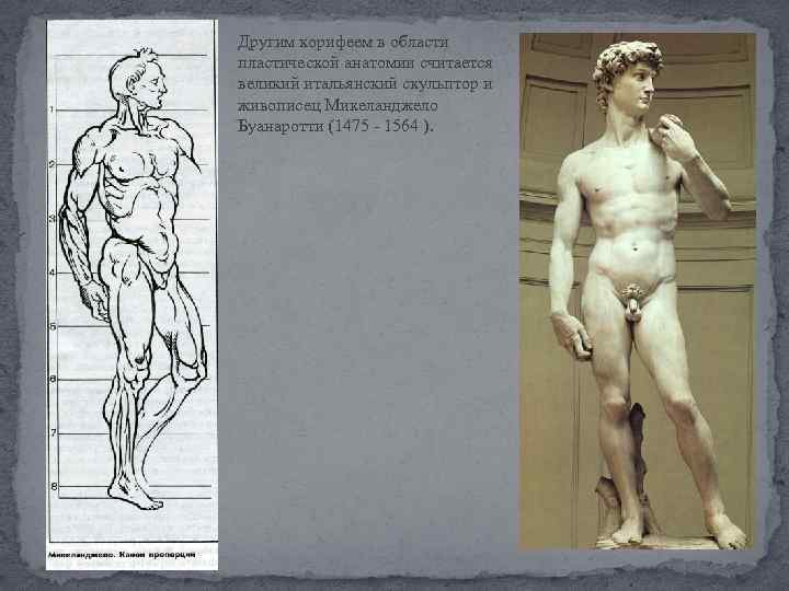 Другим корифеем в области пластической анатомии считается великий итальянский скульптор и живописец Микеланджело Буанаротти