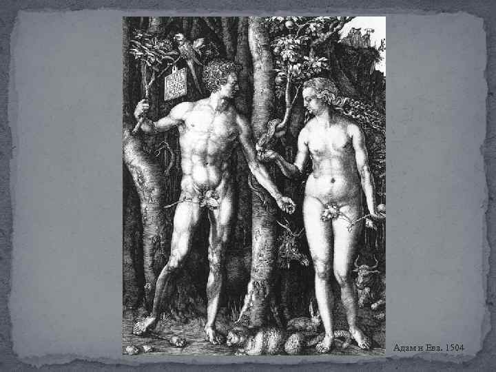 Адам и Ева. 1504 