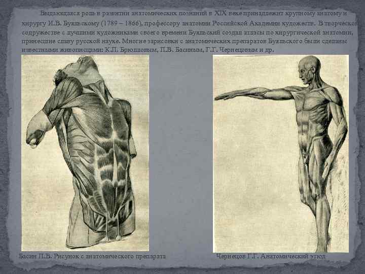 Выдающаяся роль в развитии анатомических познаний в XIX веке принадлежит крупному анатому и хирургу