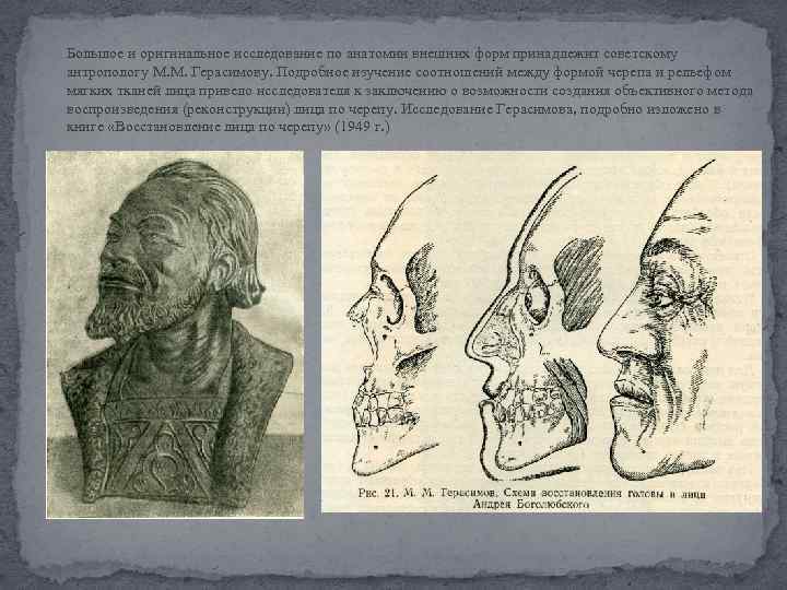 Большое и оригинальное исследование по анатомии внешних форм принадлежит советскому антропологу М. М. Герасимову.