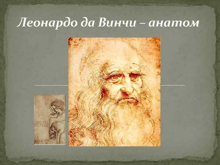 Леонардо да Винчи – анатом 