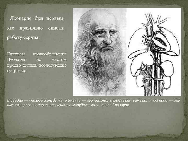  Леонардо был первым кто правильно описал работу сердца. Гипотеза кровообращения Леонардо во многом