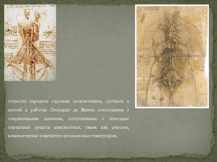 точность передачи строения позвоночника, суставов и костей в работах Леонардо да Винчи сопоставима с
