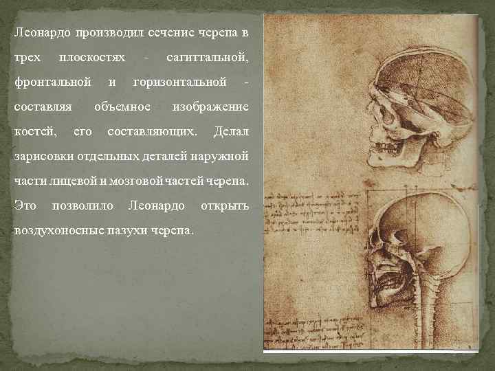 Леонардо производил сечение черепа в трех плоскостях фронтальной составляя и - сагиттальной, горизонтальной объемное