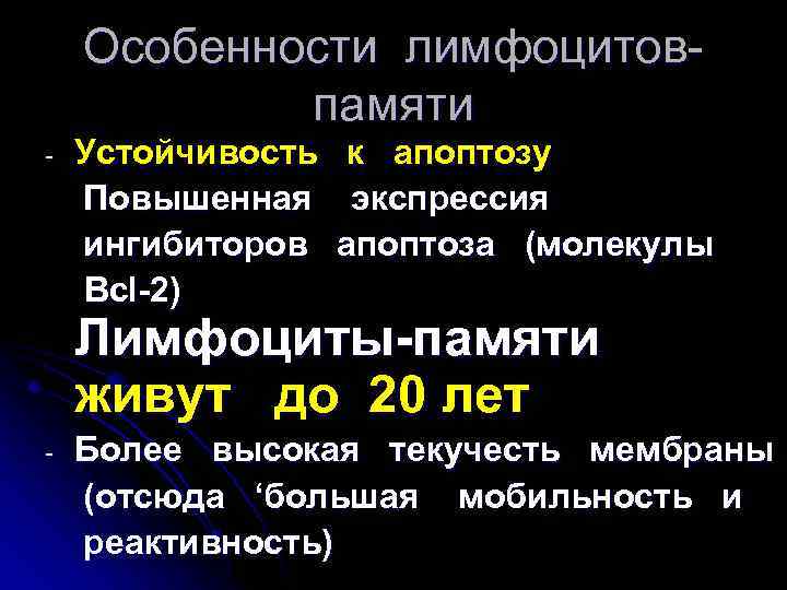 Особенности лимфоцитовпамяти - Устойчивость Повышенная ингибиторов Bcl-2) к апоптозу экспрессия апоптоза (молекулы Лимфоциты-памяти живут