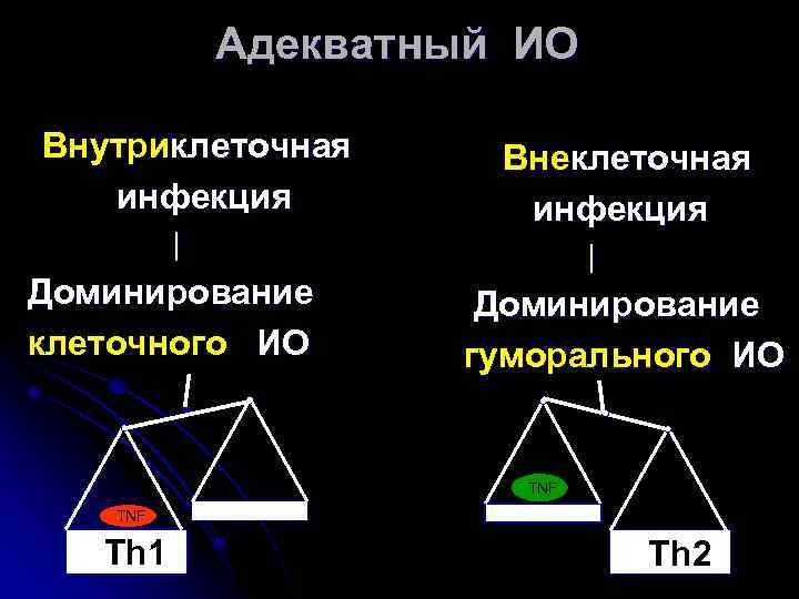 Адекватный ИО Внутриклеточная инфекция | Доминирование клеточного ИО Внеклеточная инфекция | Доминирование гуморального ИО