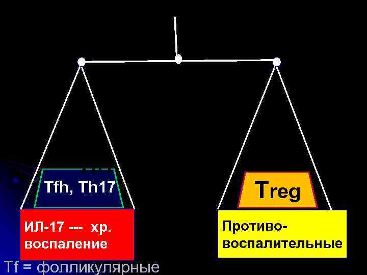 Th 1 Tfh, Th 17 B-TNF ИЛ-17 --- хр. воспаление Tf = фолликулярные Treg