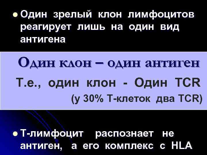 l Один зрелый клон лимфоцитов реагирует лишь на один вид антигена Один клон –