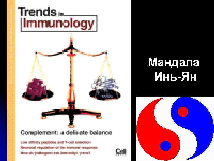 Мандала Инь-Ян 