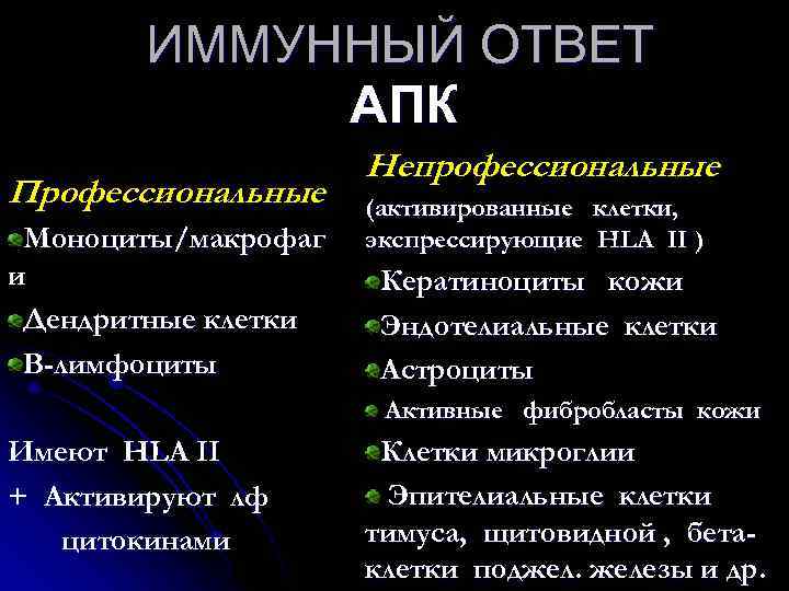 ИММУННЫЙ ОТВЕТ АПК Профессиональные Моноциты/макрофаг и Дендритные клетки В-лимфоциты Непрофессиональные (активированные клетки, экспрессирующие HLA