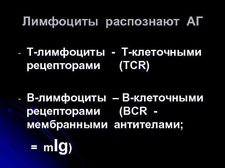 Лимфоциты распознают АГ - Т-лимфоциты - Т-клеточными рецепторами (TCR) - В-лимфоциты – В-клеточными рецепторами