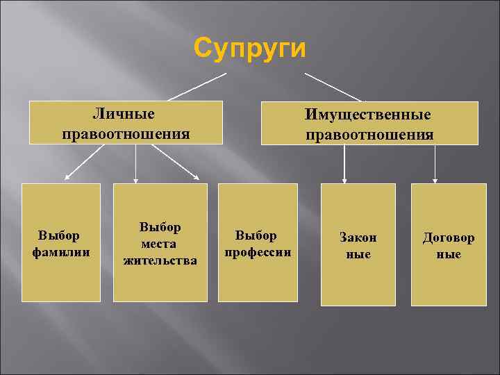 Супруги Личные правоотношения Выбор фамилии Выбор места жительства Имущественные правоотношения Выбор профессии Закон ные