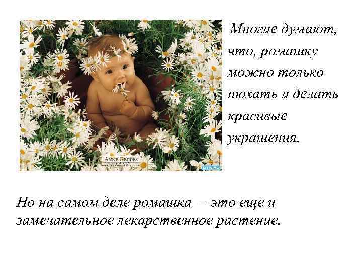 Многие думают, что, ромашку можно только нюхать и делать красивые украшения. Но на самом