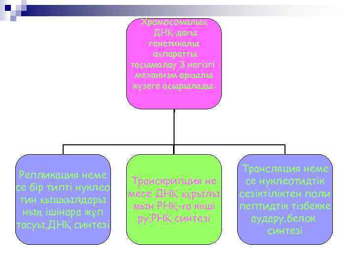 Хромосомалық ДНҚ-дағы генетикалы ақпаратты тасымалау 3 негізгі механизм арқылы жүзеге асырылады: Репликация неме се