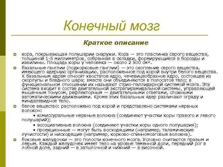 Конечный мозг Краткое описание кора, покрывающая полушарии снаружи. Кора — это пластинка серого вещества,