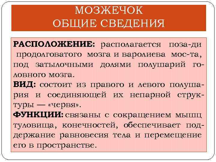 МОЗЖЕЧОК ОБЩИЕ СВЕДЕНИЯ РАСПОЛОЖЕНИЕ: располагается поза ди продолговатого мозга и варолиева мос та, под