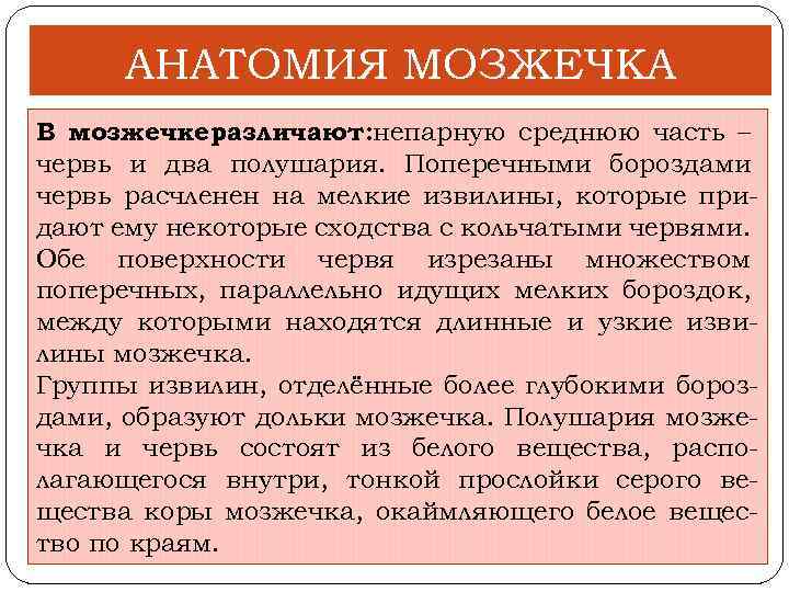 АНАТОМИЯ МОЗЖЕЧКА В мозжечкеразличают: непарную среднюю часть – червь и два полушария. Поперечными бороздами