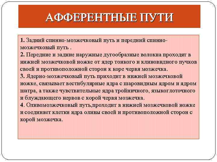 АФФЕРЕНТНЫЕ ПУТИ 1. Задний спинно-мозжечковый путь и передний спинномозжечковый путь. 2. Передние и задние