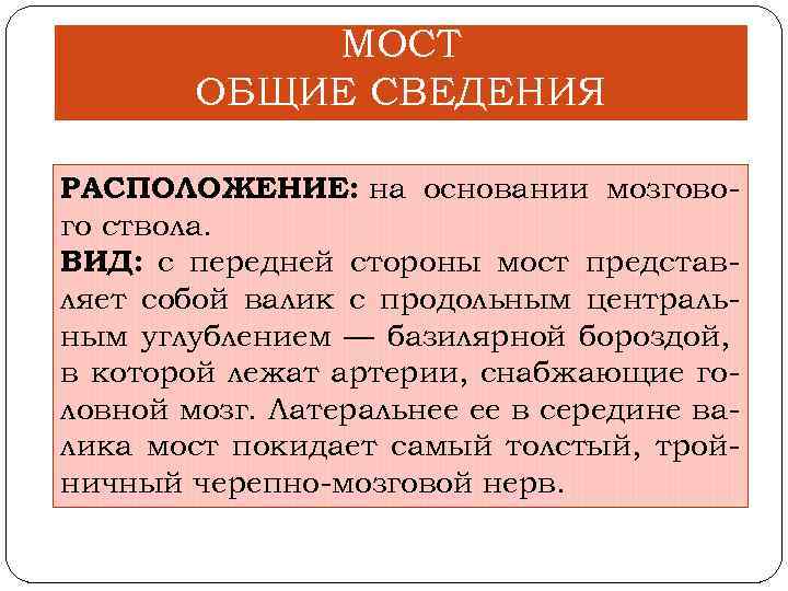 МОСТ ОБЩИЕ СВЕДЕНИЯ РАСПОЛОЖЕНИЕ: на основании мозгово го ствола. ВИД: с передней стороны мост