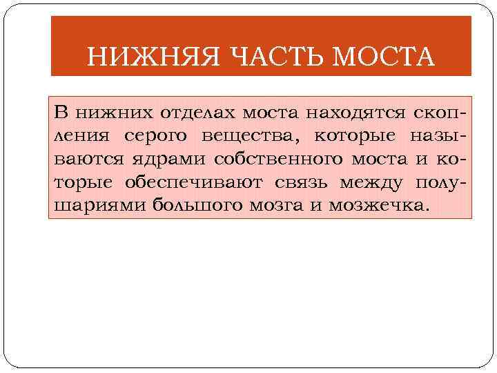 НИЖНЯЯ ЧАСТЬ МОСТА В нижних отделах моста находятся скоп ления серого вещества, которые назы