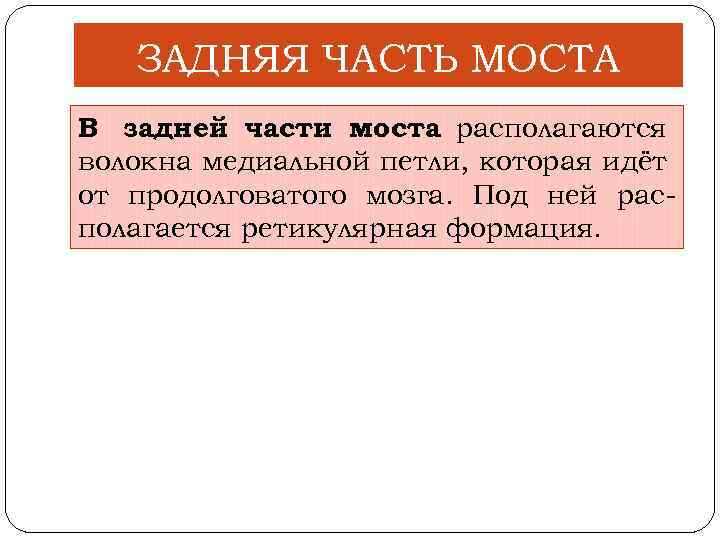 ЗАДНЯЯ ЧАСТЬ МОСТА В задней части моста располагаются волокна медиальной петли, которая идёт от