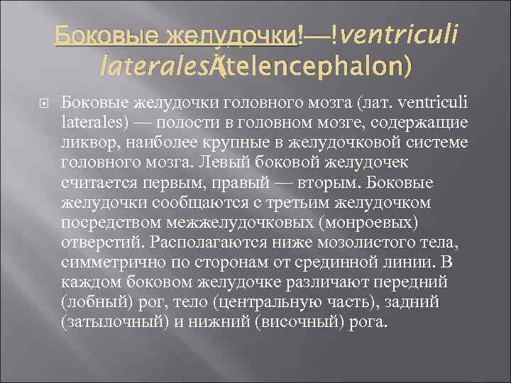 Боковые желудочки — ventriculi laterales (telencephalon) Боковые желудочки головного мозга (лат. ventriculi laterales) —