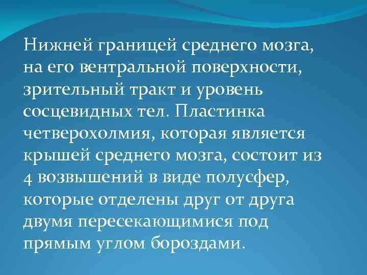 Нижней границей среднего мозга, на его вентральной поверхности, зрительный тракт и уровень сосцевидных тел.