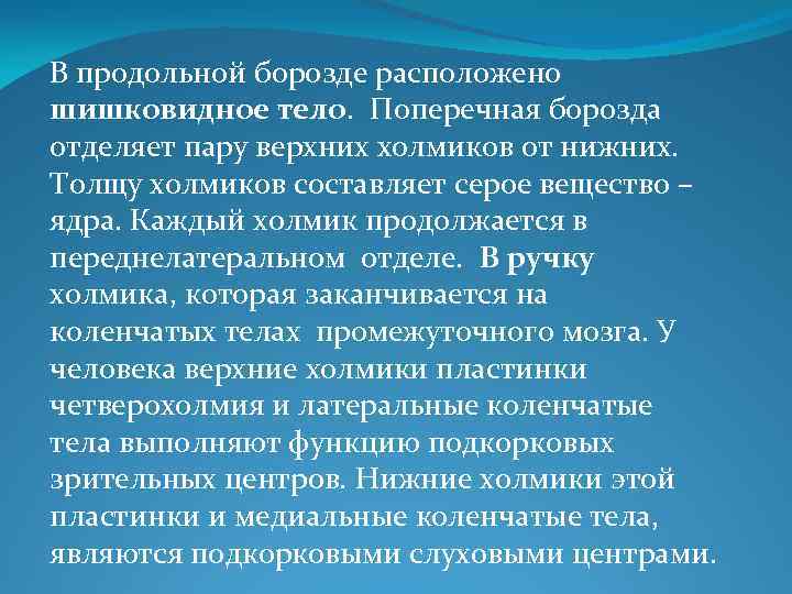 В продольной борозде расположено шишковидное тело. Поперечная борозда отделяет пару верхних холмиков от нижних.