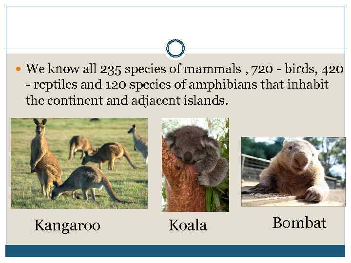  We know all 235 species of mammals , 720 - birds, 420 -