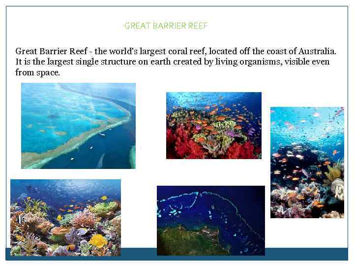 GREAT BARRIER REEF Great Barrier Reef - the world's largest coral reef, located off