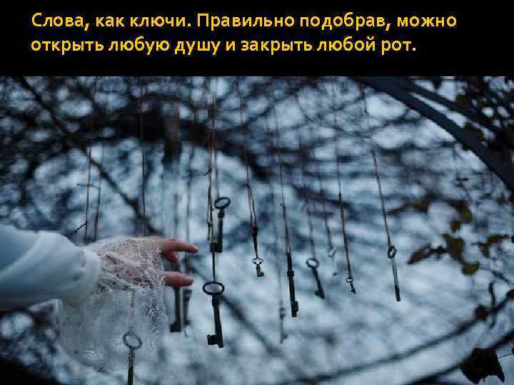 Слова, как ключи. Правильно подобрав, можно открыть любую душу и закрыть любой рот. 