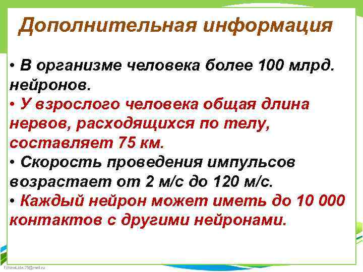 Дополнительная информация • В организме человека более 100 млрд. нейронов. • У взрослого человека