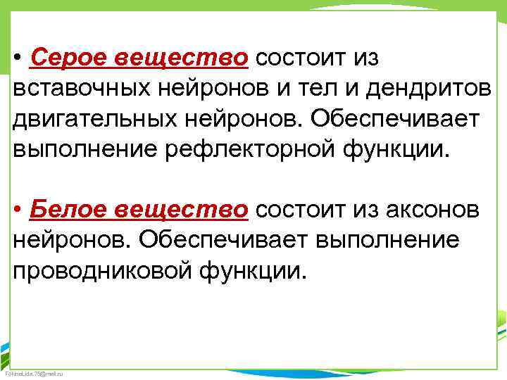  • Серое вещество состоит из вставочных нейронов и тел и дендритов двигательных нейронов.