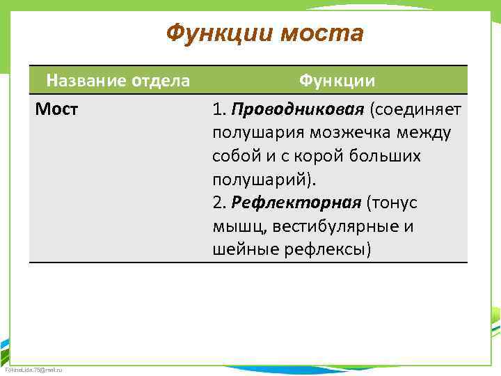 Функции моста Название отдела Мост Fokina. Lida. 75@mail. ru Функции 1. Проводниковая (соединяет полушария