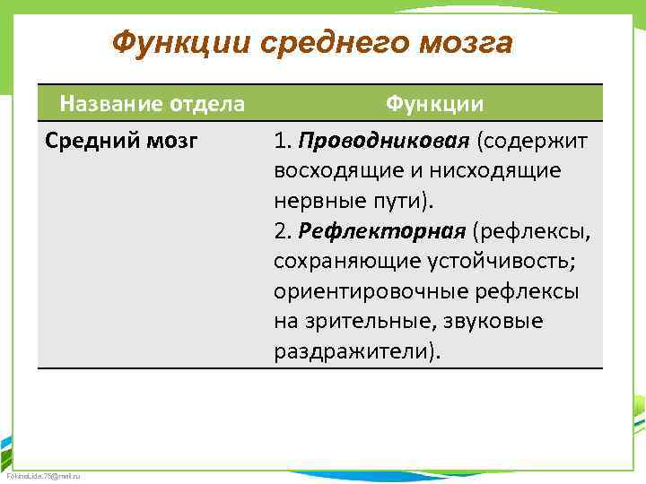 Функции среднего мозга Название отдела Средний мозг Fokina. Lida. 75@mail. ru Функции 1. Проводниковая