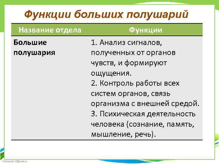 Функции больших полушарий Название отдела Большие полушария Fokina. Lida. 75@mail. ru Функции 1. Анализ