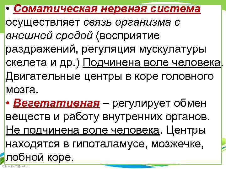  • Соматическая нервная система осуществляет связь организма с внешней средой (восприятие раздражений, регуляция