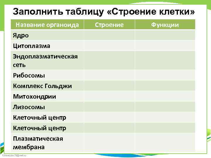 Заполнить таблицу «Строение клетки» Название органоида Ядро Цитоплазма Эндоплазматическая сеть Рибосомы Комплекс Гольджи Митохондрии