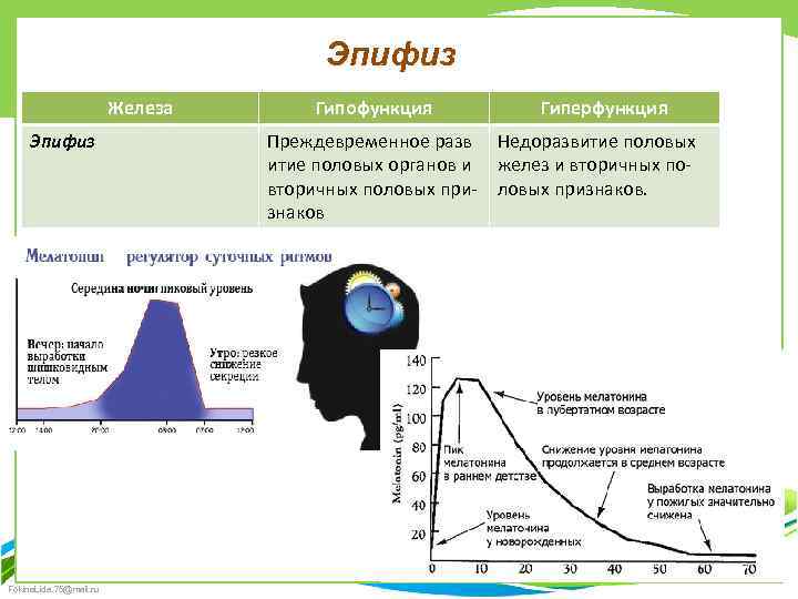 Эпифиз Железа Эпифиз Fokina. Lida. 75@mail. ru Гипофункция Гиперфункция Преждевременное разв Недоразвитие половых органов