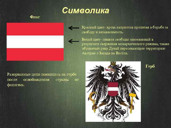 Флаг Символика Красный цвет- кровь патриотов пролитая в борьбе за свободу и независимость. Белый