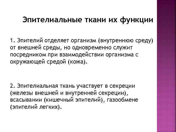 Эпителиальные ткани их функции 1. Эпителий отделяет организм (внутреннюю среду) от внешней среды, но