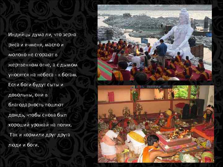 Индийцы дума ли, что зерна риса и ячменя, масло и молоко не сгорают в