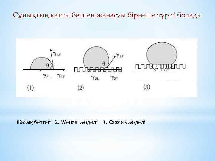 Сұйықтың қатты бетпен жанасуы бірнеше түрлі болады Жазық беттегі 2. Wenzel моделі 3. Cassie's