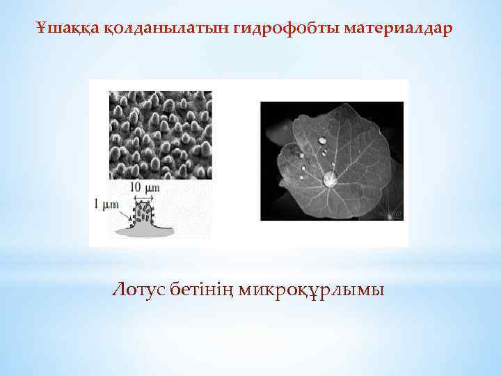 Ұшаққа қолданылатын гидрофобты материалдар Лотус бетінің микроқұрлымы 