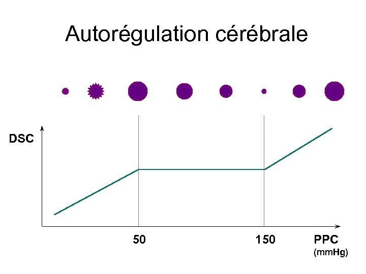 Autorégulation cérébrale DSC 50 150 PPC (mm. Hg) 