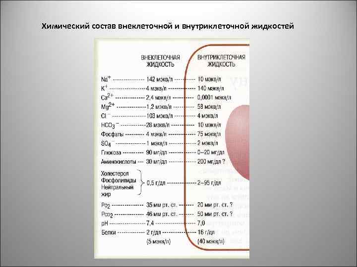 Химический состав внеклеточной и внутриклеточной жидкостей 