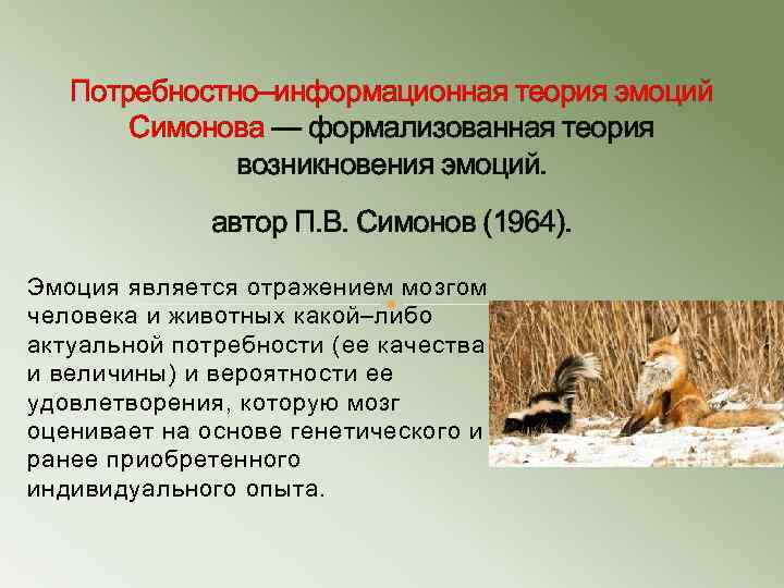 Информационная теория. Потребностно-информационная теория Симонова. Потребностно-информационная теория эмоций. Потребностно информационная теория эмоций Симонова. Потребностно-информационные факторы возникновения эмоций.
