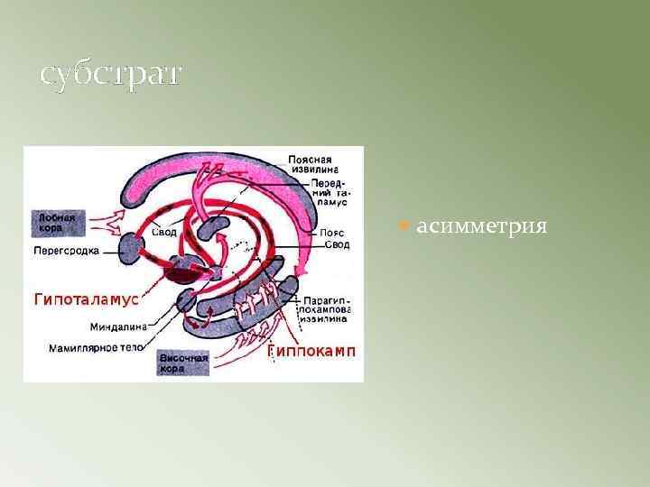 субстрат асимметрия 