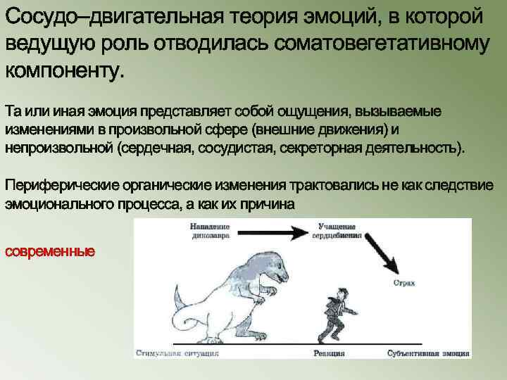 Сосудо–двигательная теория эмоций, в которой ведущую роль отводилась соматовегетативному компоненту. Та или иная эмоция